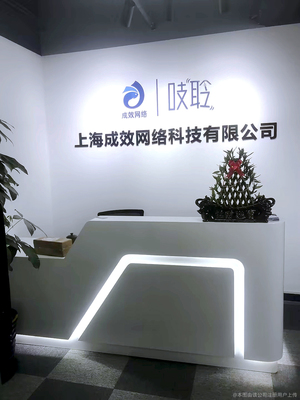 成效网络 上海网络科技领域的创新力量与成长之道